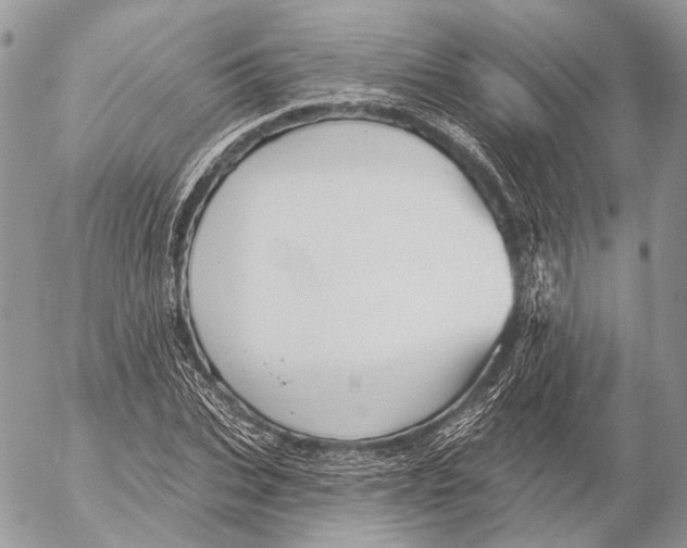 X0000053060927200508081150