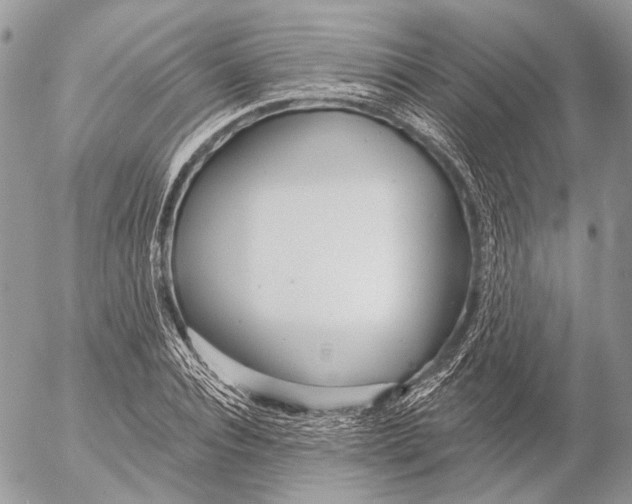 X0000053060928200508081150