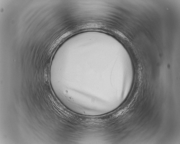 X0000053060929200508081150