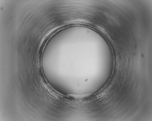 X0000053060931200508081150