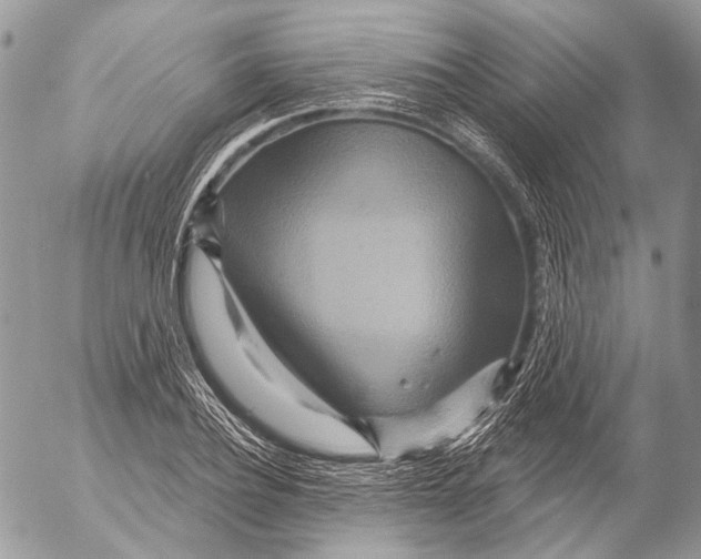 X0000053060932200508081150