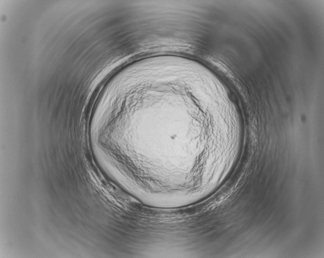 X0000053060933200508081150