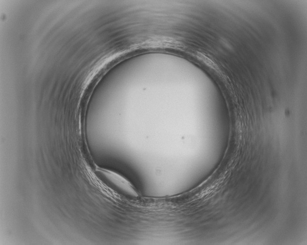 X0000053060934200508081150