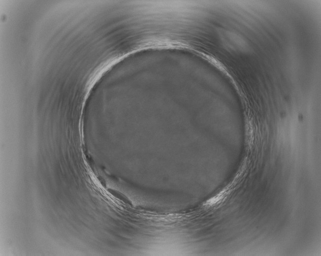 X0000053060935200508081150