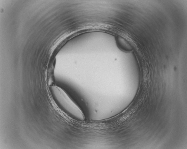 X0000053060936200508081150