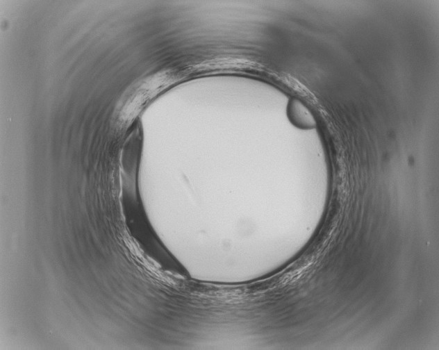 X0000053060937200508081150