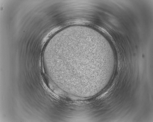 X0000053060938200508081150