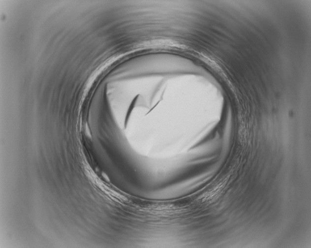 X0000053060939200508081150