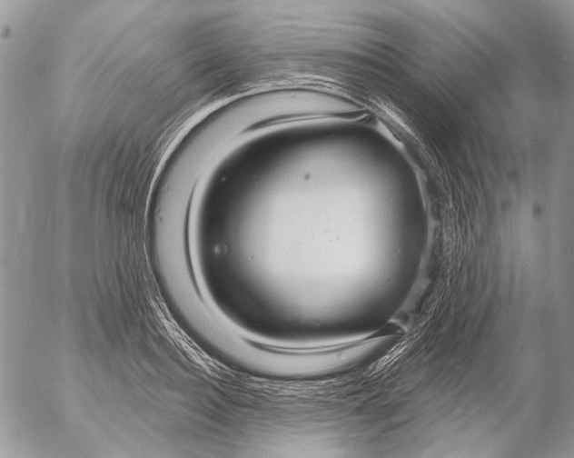 X0000053060940200508081150