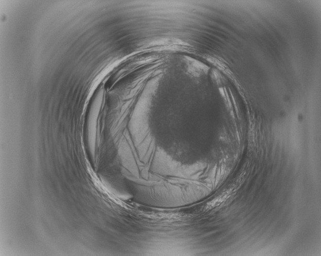 X0000053060941200508081150