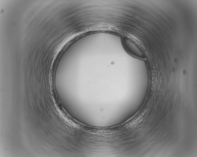 X0000053060942200508081150