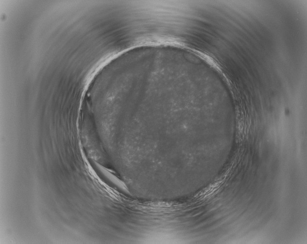 X0000053060943200508081150