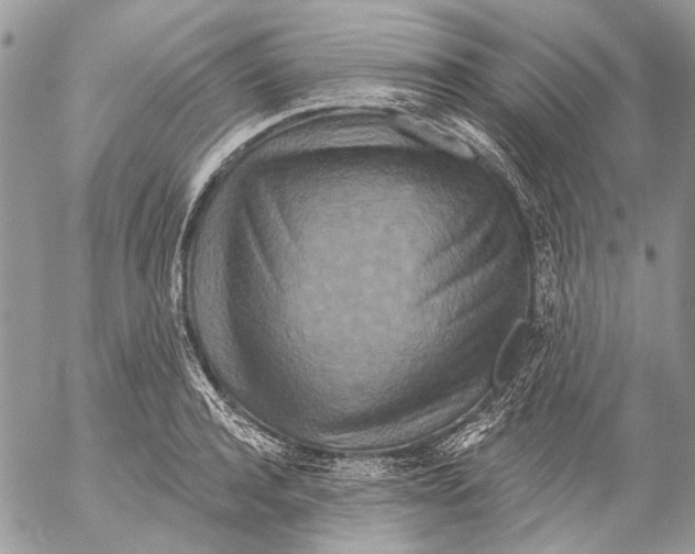 X0000053060944200508081150