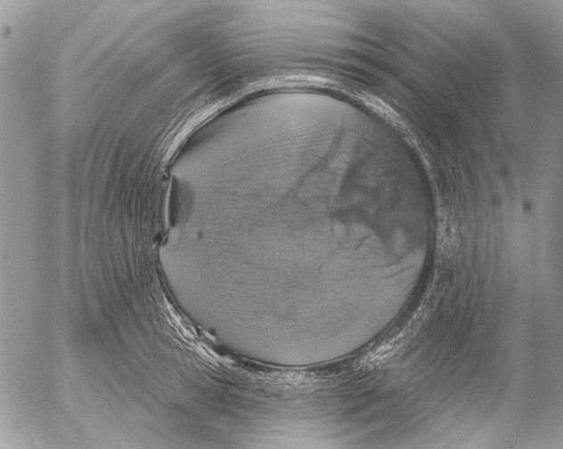 X0000053060945200508081150