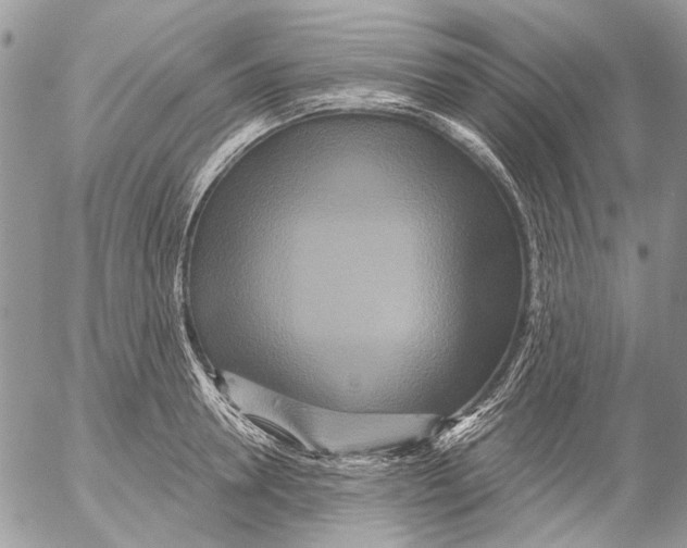 X0000053060946200508081150