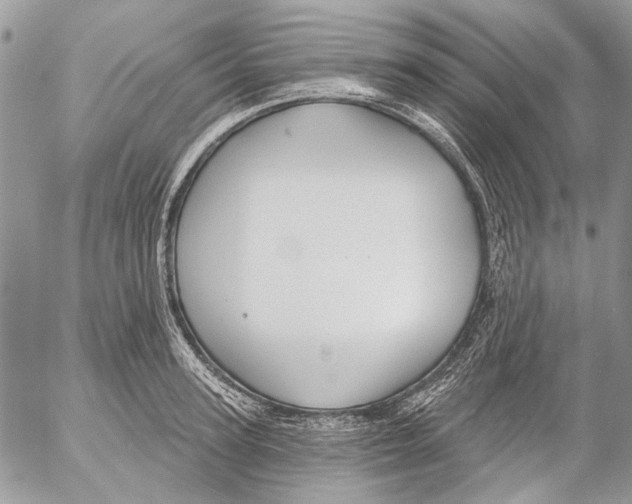 X0000053060947200508081150