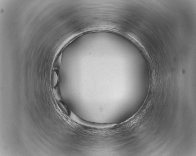 X0000053060948200508081150