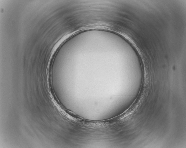 X0000053060949200508081150