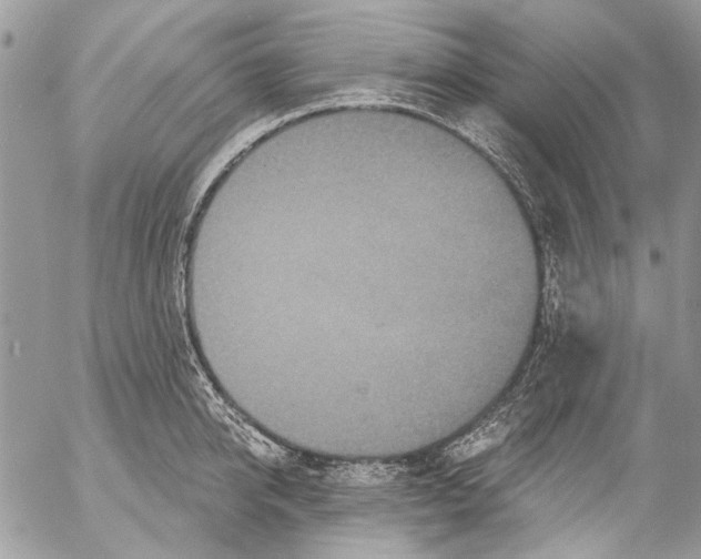 X0000053060950200508081150