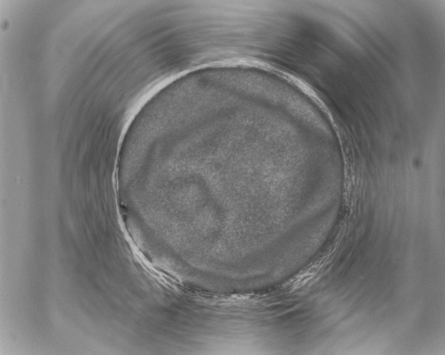 X0000053060951200508081150