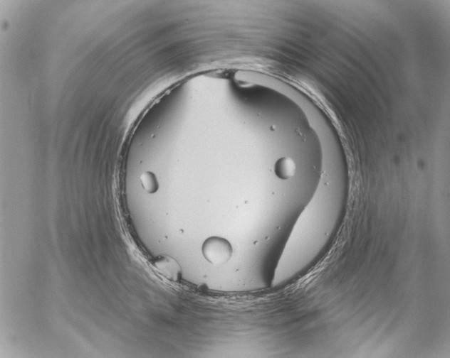 X0000053060952200508081150