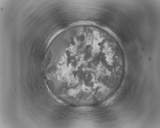 X0000053060953200508081150