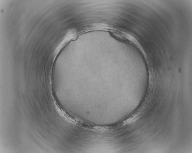 X0000053060954200508081150