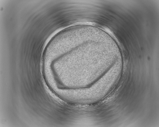 X0000053060955200508081150