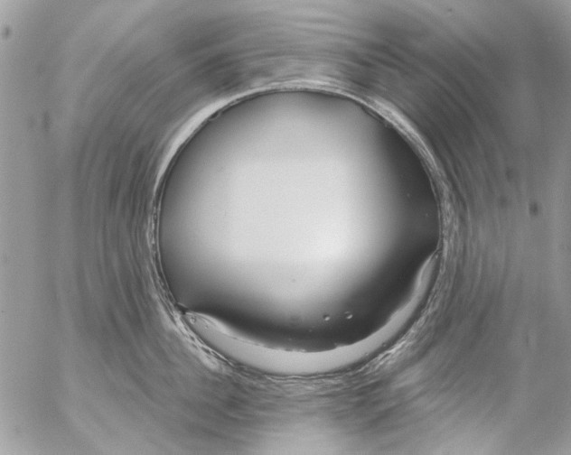 X0000053060956200508081151