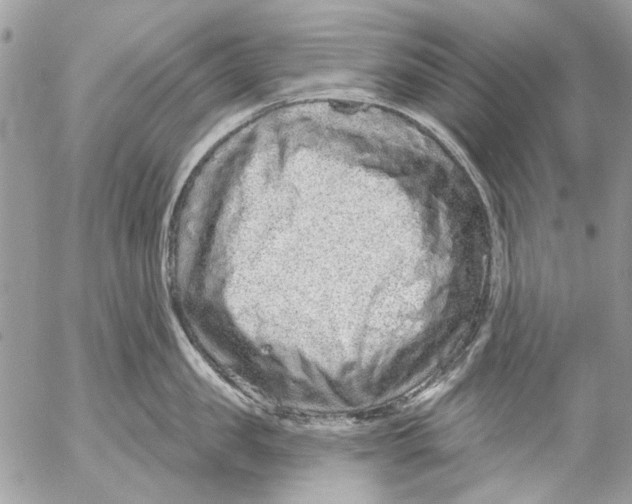 X0000053060957200508081151