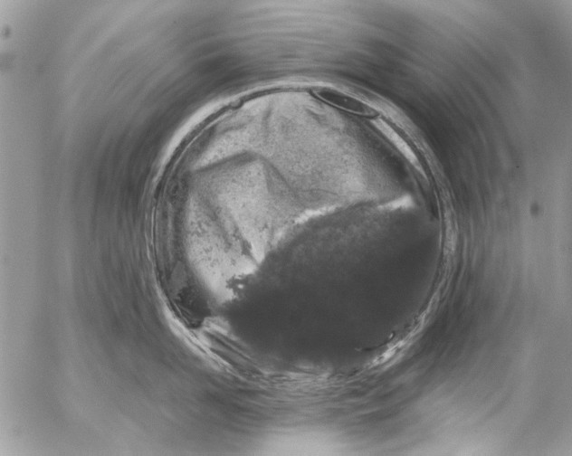 X0000053060958200508081151