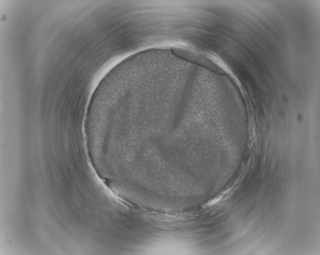 X0000053060959200508081151