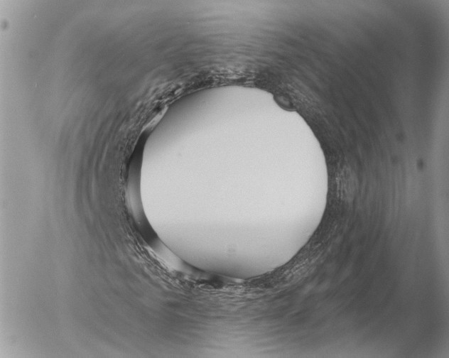 X0000053060961200508081150