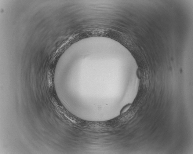 X0000053060962200508081150