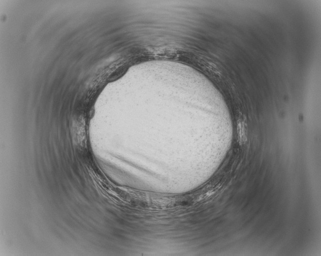 X0000053060963200508081150