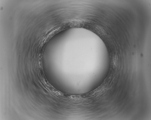 X0000053060964200508081150