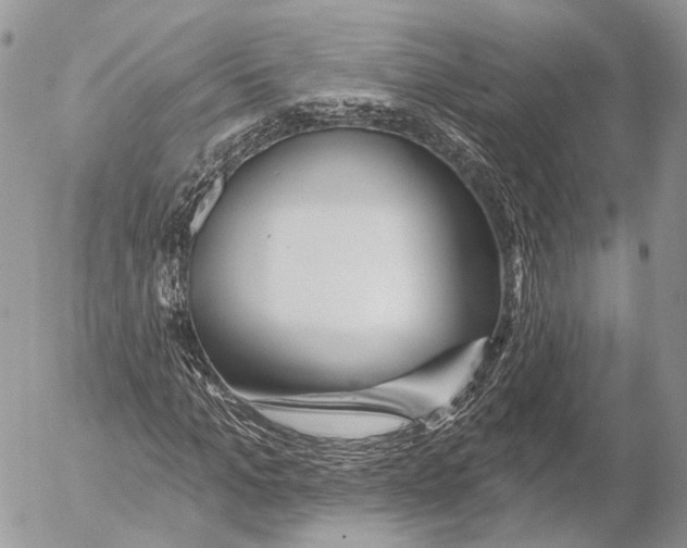 X0000053060965200508081150