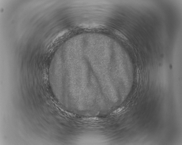 X0000053060966200508081150