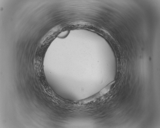 X0000053060967200508081150