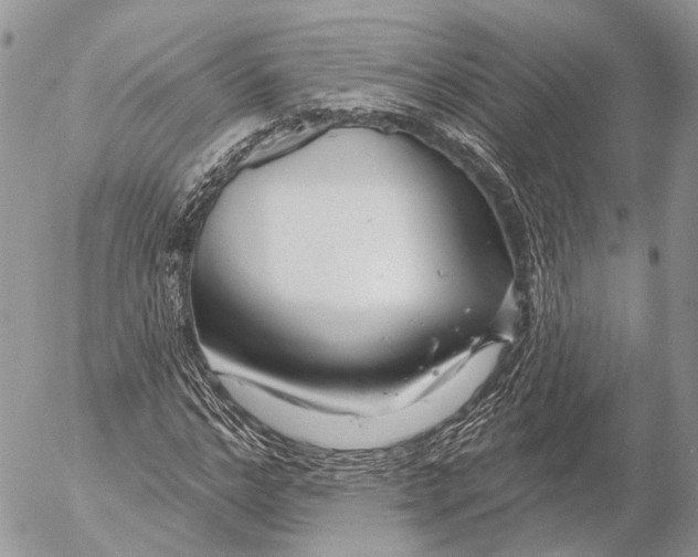 X0000053060968200508081150