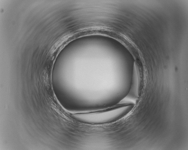 X0000053060969200508081150