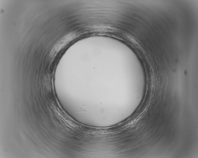 X0000053060970200508081150