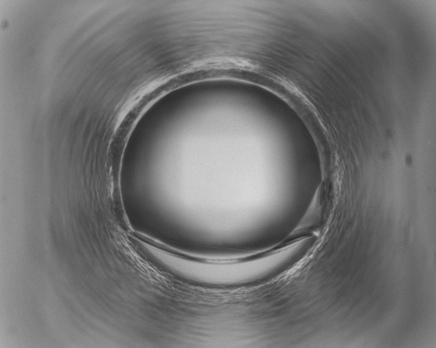 X0000053060973200508081150