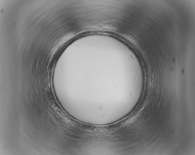 X0000053060974200508081150