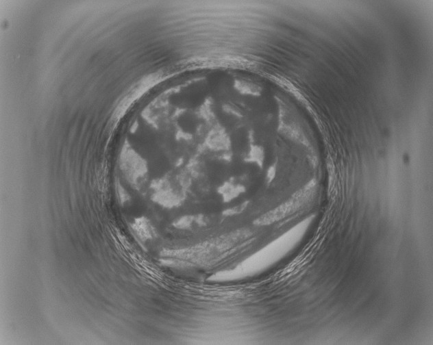 X0000053060975200508081150