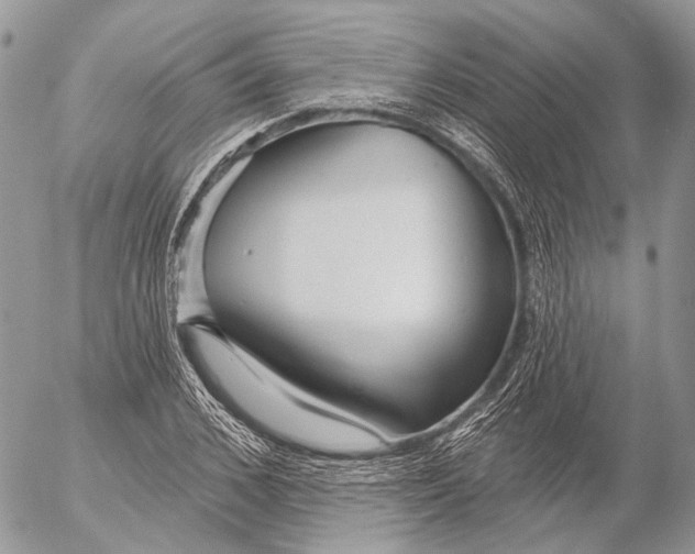 X0000053060976200508081150