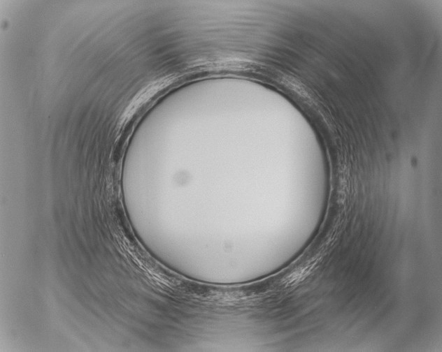 X0000053060978200508081150