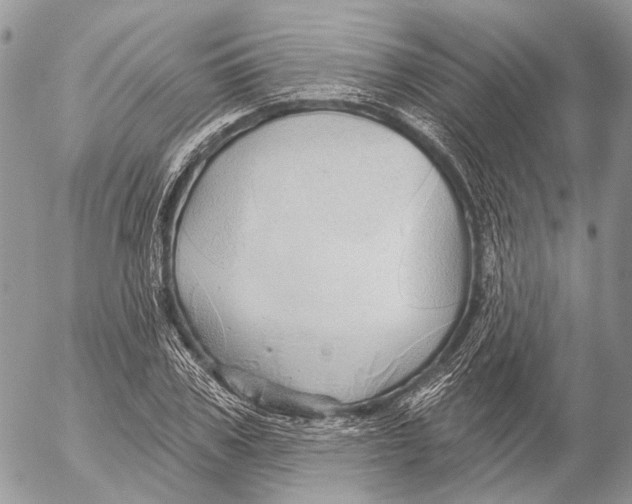 X0000053060979200508081149