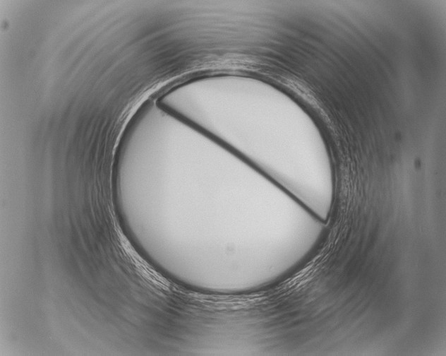 X0000053060980200508081149