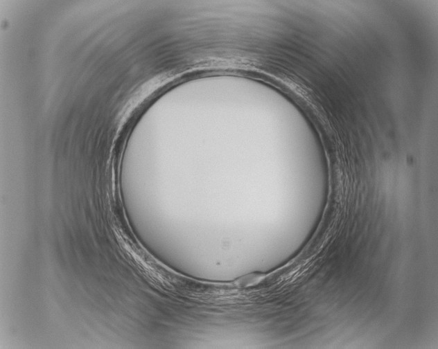 X0000053060982200508081149